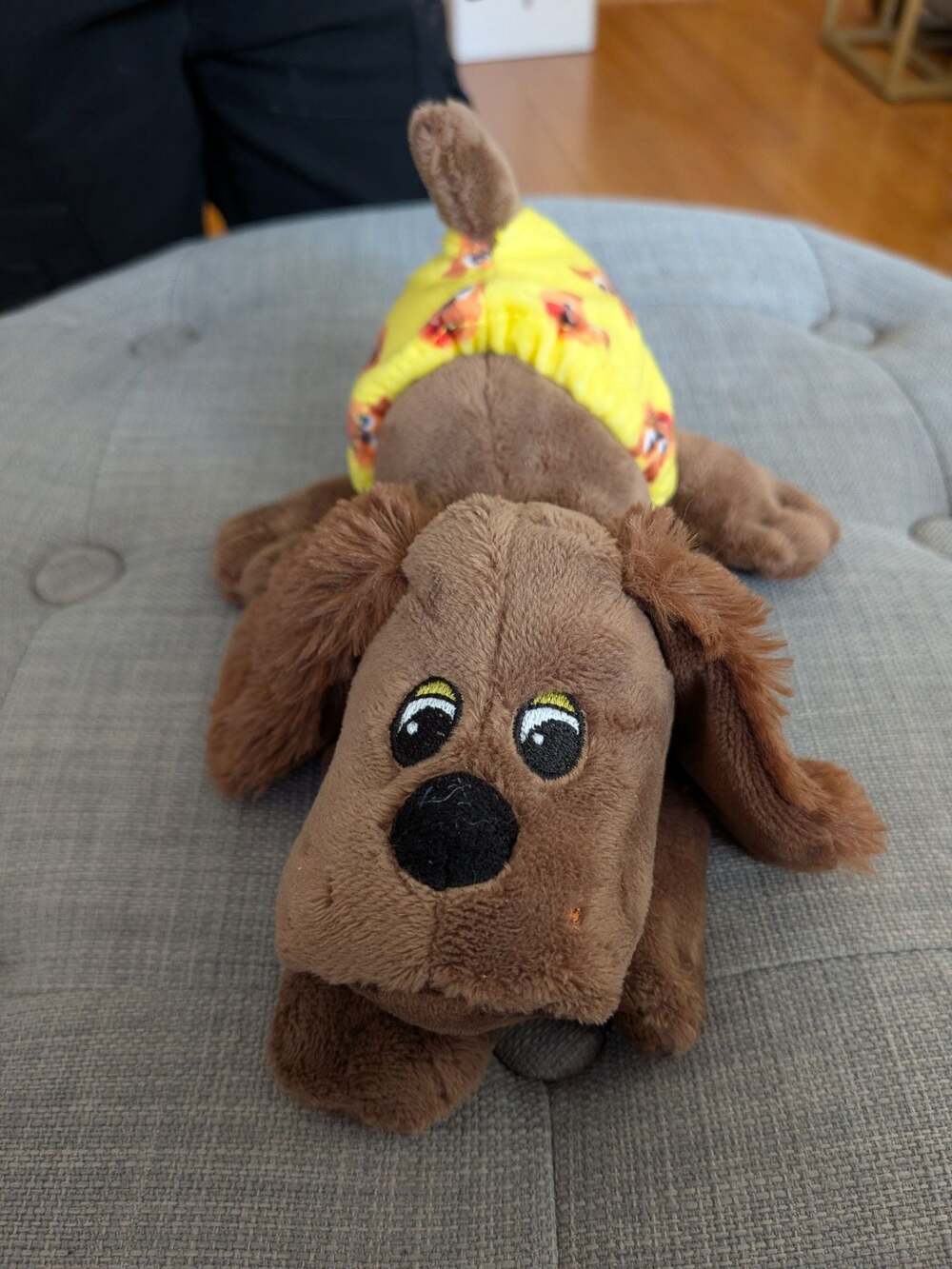 Pound Puppies Brown Plush Dog with Yellow Diaper
